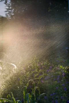 Grass Sprinkler Stock Photos