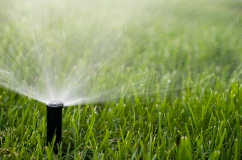 Grass Sprinkler Stockfoto's