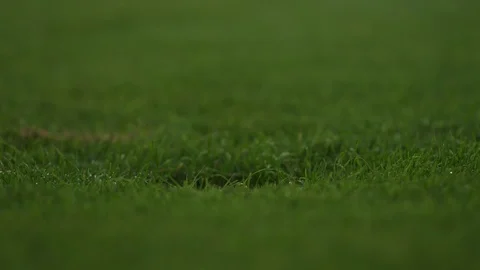 Grass Sprinklers 2 Stock Footage 108390498