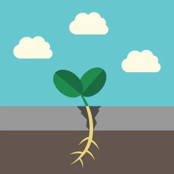 Grass sprout breaking asphalt Stock Illustration