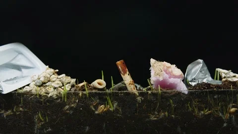Grass is sprouting through the contaminated soil. Soil cuttings photographed on Stock Footage 247974006