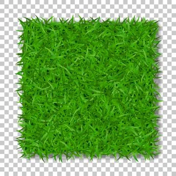 Grass square 3D. Beautiful green grassy field, isolated on white transparent  Stock Illustration