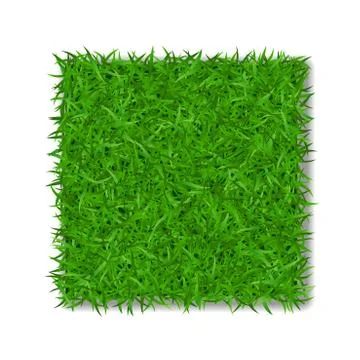 Grass square 3D. Beautiful green grassy field, isolated on white background.  Stock Illustration