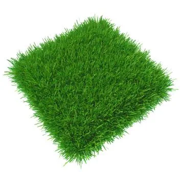 Grass squared portion isolated on white background Illustrazione stock