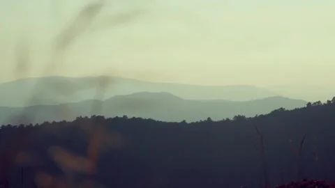 Grass Stalk Sways In The Wind On A Background Of Mountain Ranges, Changing Focus Stock Footage 171903951