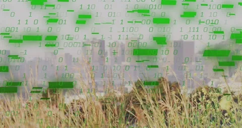 Grass standing, green binary overlay starting at skyline, sliding down hiding 库存影片 333830005