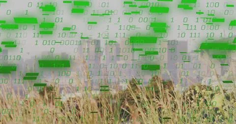Grass standing, green binary overlay starting at skyline, sliding down hiding Foto stock