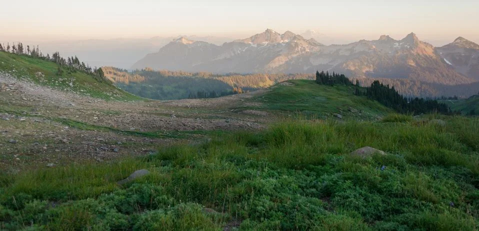 Grass, stone and meadow Stock Photos