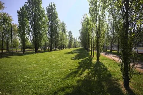 Grass strip in a park Stock Photos