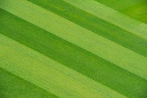Grass stripes Stock Photos