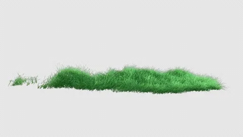 Grass Strong Loop Stock Footage 176228247