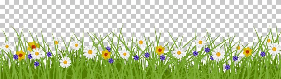 Grass summer background Stock Illustration