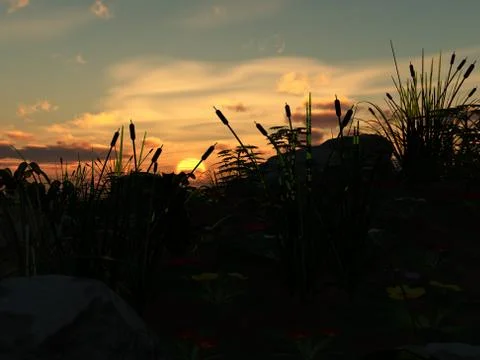 Grass Sunset Stock Illustration