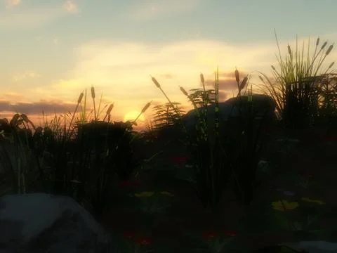 Grass Sunset Stock Illustration