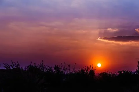 Grass with the sunset Stock-Fotos