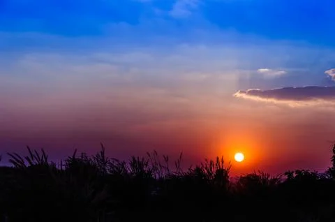 Grass with the sunset Stock-Fotos