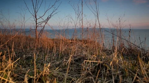 Grass at sunset ,slider Stock Footage 51770863