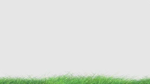 Grass Swaying with Alpha Loop Stock Footage 144662286