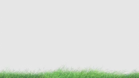Grass Swaying with Alpha Loop Stock Footage 144662566