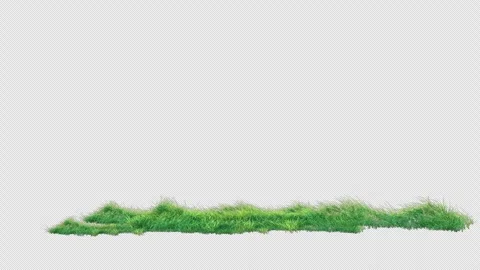 Grass Swaying on Alpha Loop Stock Footage 293543805