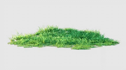 Grass Swaying on Alpha Loop Stock Footage 297360329
