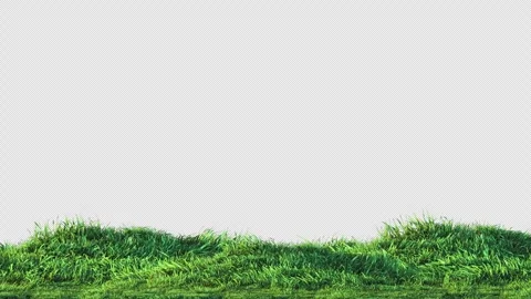 Grass Swaying on Alpha Loop Stock Footage 301039120