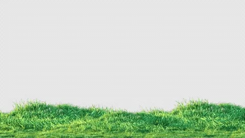 Grass Swaying on Alpha Loop Video stock 305771167