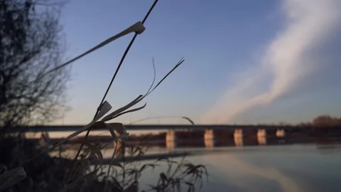 Grass swaying Stock Footage 184966106
