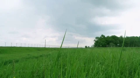 Grass swaying time lapse (Fast) Stock Footage 71641054