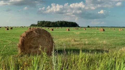 Grass is swaying in the wind, against the background of a haystacks. Sunny day Stock Footage 168948321