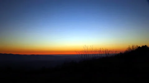 Grass swaying in wind - time lapse. 4k, ultra high definition. Stock Footage 48803645
