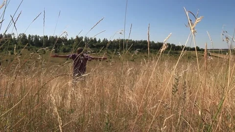 The grass sways in the field, the man falls into the grass Stock Footage 158012360