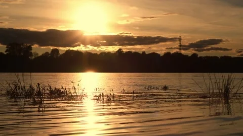 Grass sways on the waves of the river against the backdrop of a summer sunset Stock Footage 255958885