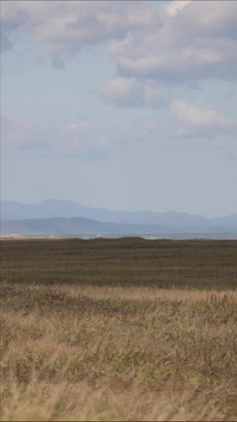 Grass sways in the wind, in the background the ocean and mountains Stock Footage 309408522