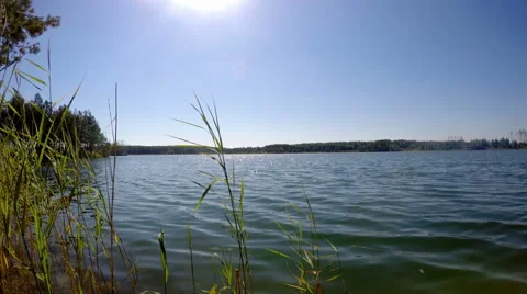 Grass sways in the wind on a blue fresh water reservoir Video stock 53296928