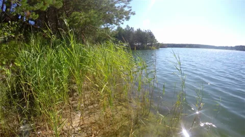 Grass sways in the wind on a blue lake 스톡 동영상 53295994