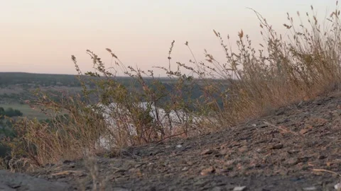 Grass sways in the wind on the mountaintop at sunset against the background  Video stock 141933605
