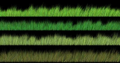 Grass sways in the wind. Seamless looping. Transparent background 4 in 1 pack Stock Footage