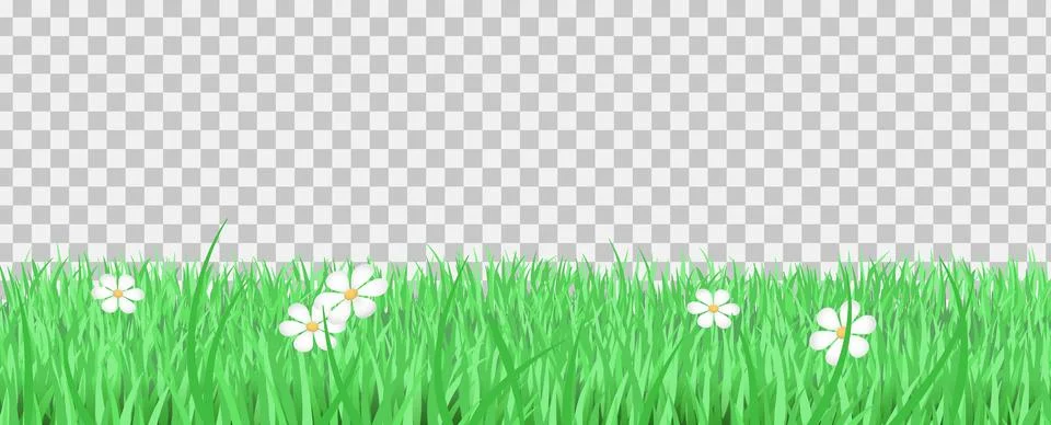 Grass template background vector Stock Illustration