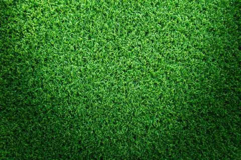 Grass texture background for golf course, soccer field design. Stock-Fotos