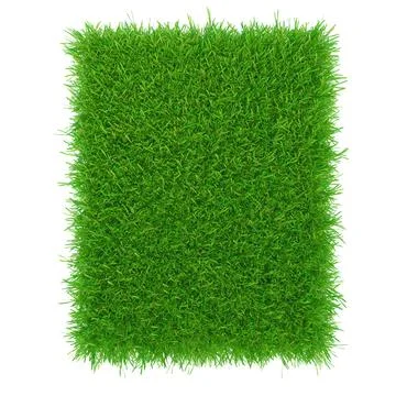 Grass texture background, Green lawn, Backyard for background. 3d rendering Stock Illustration