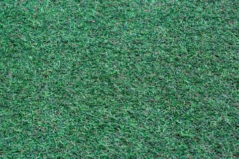 Grass texture background Stock Photos