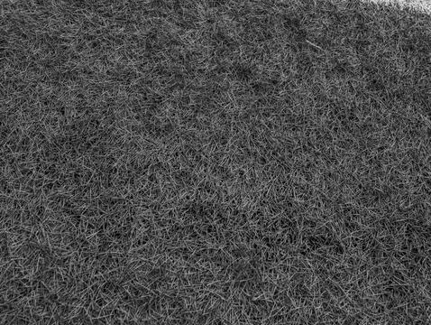 Grass texture black and white. Stock Photos