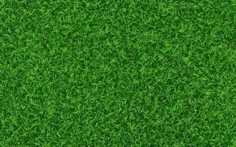 Grass texture. Green lawn background. Realistic fresh field. Summer meadow te Stock Illustration