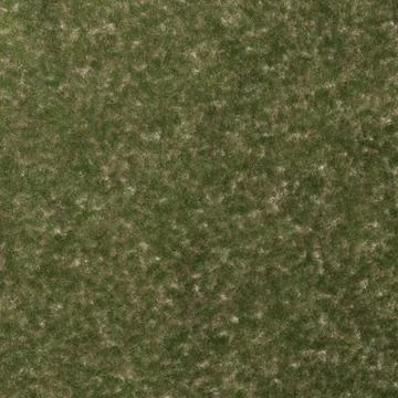 Grass texture hi-res Illustrazione stock