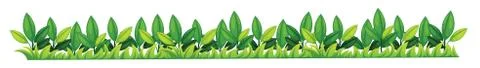Grass texture 스톡 일러스트