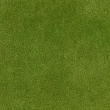 Grass Texture Illustrazione stock