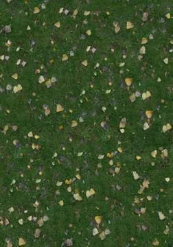 Grass texture with leaves Stock Photos