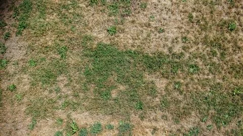 Grass texture By Linus Stock Photos