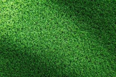 Grass texture or grass background for golf course soccer field or sports design. 写真素材